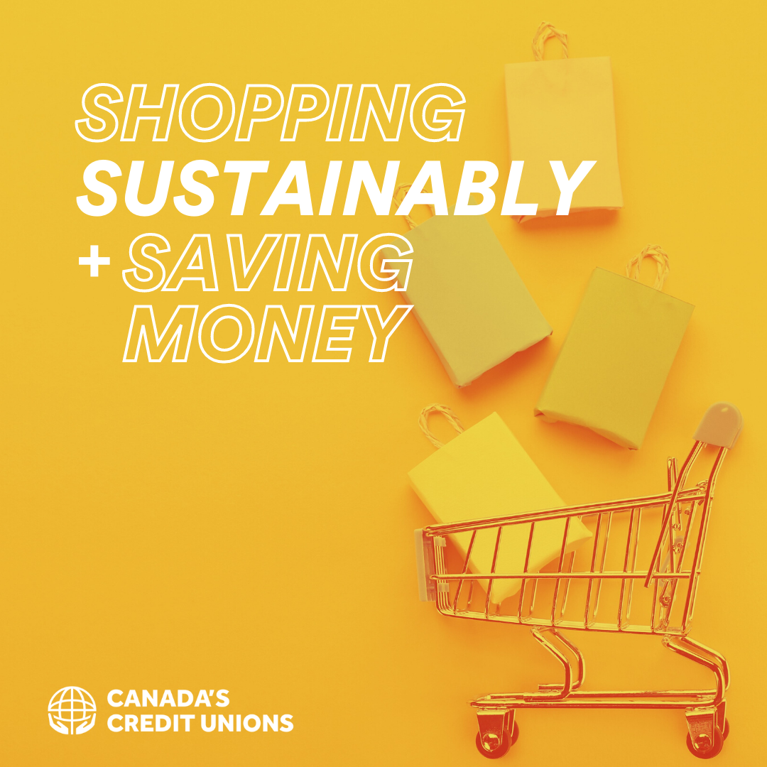 Shopping Sustainably and Saving Money